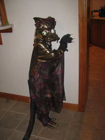  Sandi J.'s Golden Dragon Costume