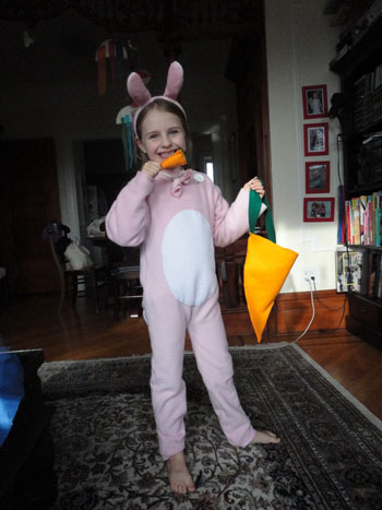 Isabella S. Bunny Costume