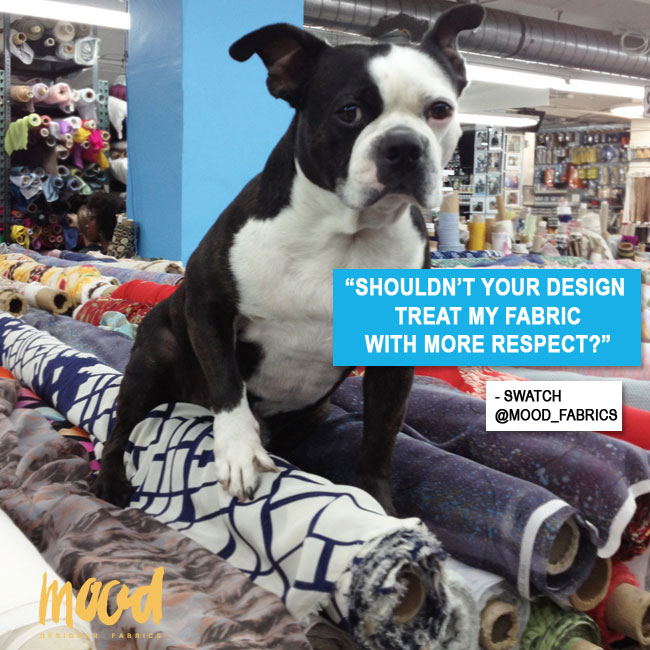 Swatch, Mood Fabrics' mascot, is in training to be the canine Tim Gunn.